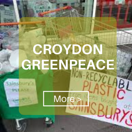 Button Croydon Green Alliance page CG