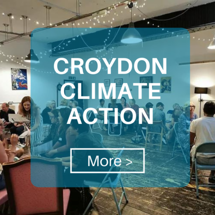 Button Croydon Green Alliance page CCA