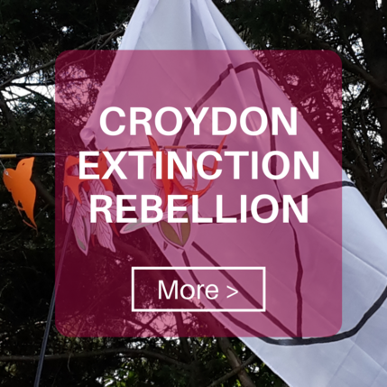 Button Croydon Green Alliance page CER