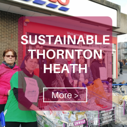 Button Croydon Green Alliance page STH