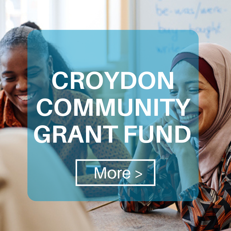 community grant fund - 