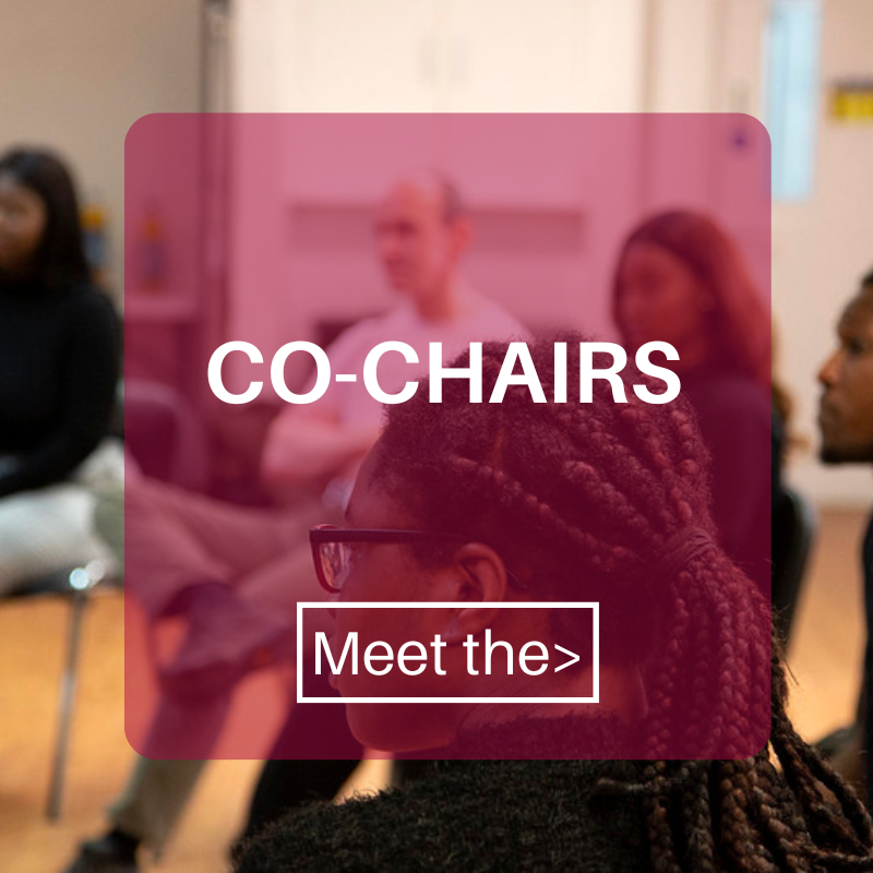Meet the Co-chairs