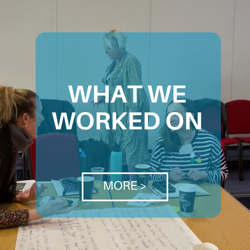 What we delivered button VCSE Alliance