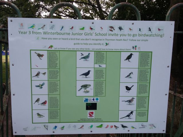 RSPB notice board