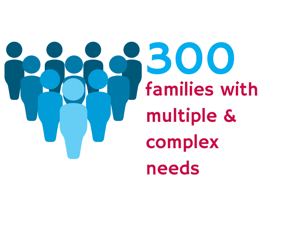 300 families infographic
